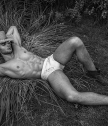 Briefs 38 585c26f31f88e.jpg