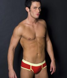 Briefs 52 586066f4c02a9.jpg