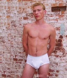 Briefs 62 5863f196dddc0.jpg