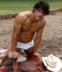 Briefs 71 586a8e9a7e142.jpg
