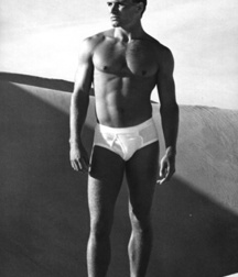 Briefs 72 586a8f169d9e6.jpg