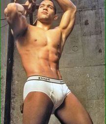 Briefs 95 587a56564e0f5.jpg