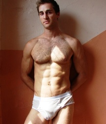 Briefs 98 587d55fda9946.jpg