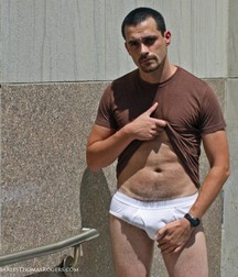 Briefs 106 5882675d82a15.jpg