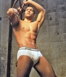 Briefs 108 5884e257effd8.jpg