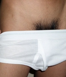 Briefs 120 588b7386509f7.jpg