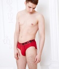 Briefs 126 588f6af84889f.jpg