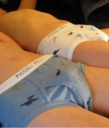 Briefs 136 5896058c94a72.jpg