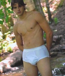 Briefs 164 58ab40d546792.jpg