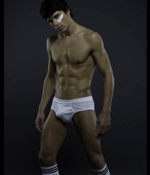 Briefs 166 58ac6f498c45f.jpg