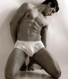 Briefs 168 58ade875e1bd8.jpg
