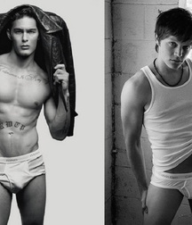 Briefs 172 58b06035e8604.jpg