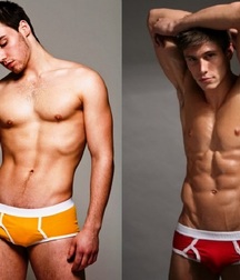 Briefs 174 58b1aea0394eb.jpg