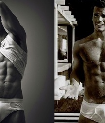 Briefs 177 58b45412383a3.jpg
