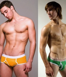 Briefs 177 58b45440df603.jpg