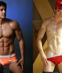 Briefs 178 58b454d8308e5.jpg
