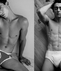 Briefs 178 58b454e789df0.jpg