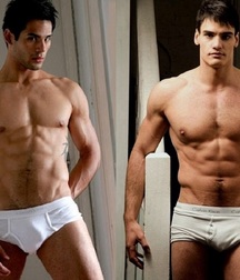 Briefs 179 58b5a982ca8c8.jpg