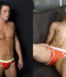 Briefs 179 58b5a98f47dab.jpg