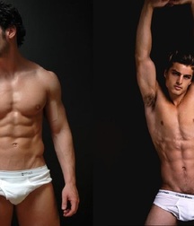 Briefs 179 58b5a9a66e53e.jpg