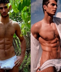 Briefs 179 58b5a9c949ff6.jpg