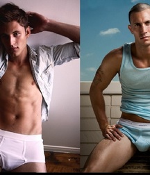 Briefs 180 58b5aa40be4cc.jpg