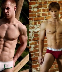 Briefs 181 58b7018b1eaea.jpg