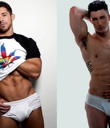Briefs 181 58b701bd9dc0e.jpg