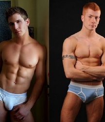 Briefs 181 58b701c04dc1f.jpg