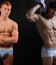 Briefs 181 58b701c329238.jpg