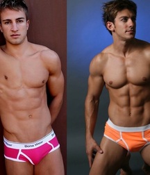 Briefs 182 58b7020e98931.jpg