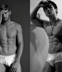 Briefs 182 58b70222190ee.jpg