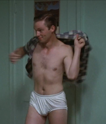 Briefs 184 58b84b3f05949.png