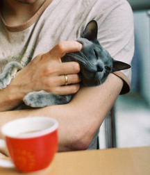 Cute Boys 001 5724dd4062a1f.jpg