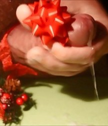 I Wish Happy Christmas and a Happy New Year !  2017 58607c065f68d.jpg