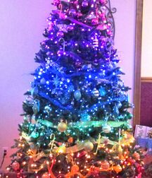 Xmas Boys - I wish you first Blessed Advent 5fc40475d3f98.jpg