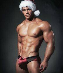 I wish for everyone a Merry Christmas ! Gay Tube 5fe65a04ce534.jpg