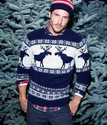 I wish for everyone a Merry Christmas ! Gay Tube 5fe65a1351527.jpg