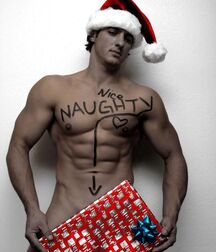 I wish for everyone a Merry Christmas ! Gay Tube 5fe65a2bccb2d.jpg