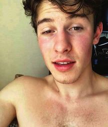 Shawn Mendes 5c2aabbd3cd13.jpeg