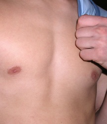 Solomon  5c4fe59fef589.jpg