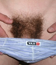 Solomon  5c4fe5d087048.jpg