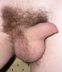 Solomon  5c4fe5f852b97.jpg