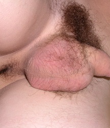 Solomon  5c4fe5f98f4d8.jpg