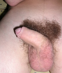 Solomon  5c4fe605eeaf3.jpg