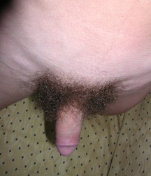 Solomon  5c4fe615b00f1.jpg