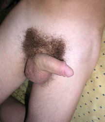 Solomon  5c4fe6195a1d7.jpg