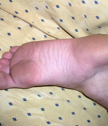 Solomon  5c4fe61bf30cd.jpg