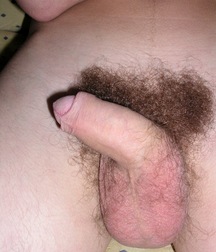 Solomon  5c4fe62c43d01.jpg