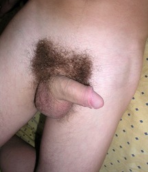 Solomon  5c4fe63722822.jpg